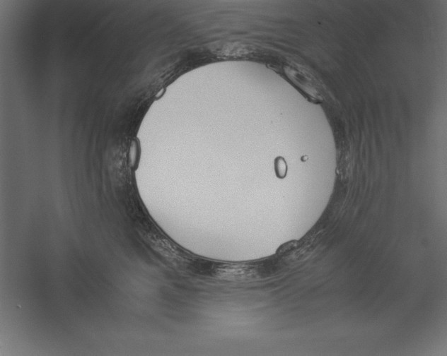 X0000060260521200511241431