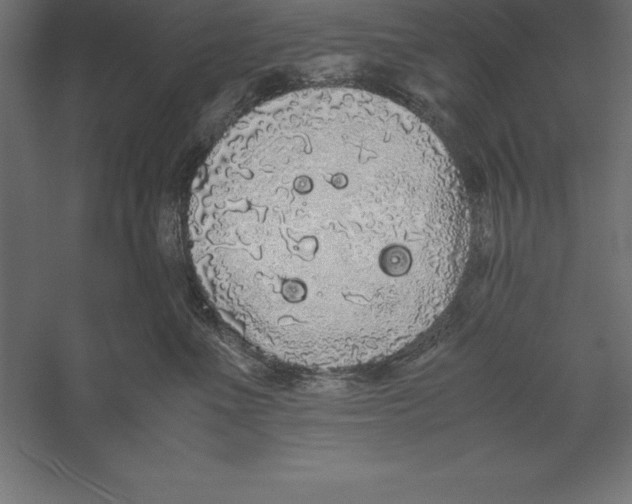 X0000060260523200511241431