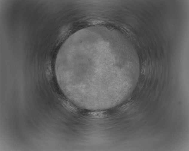 X0000060260524200511241431