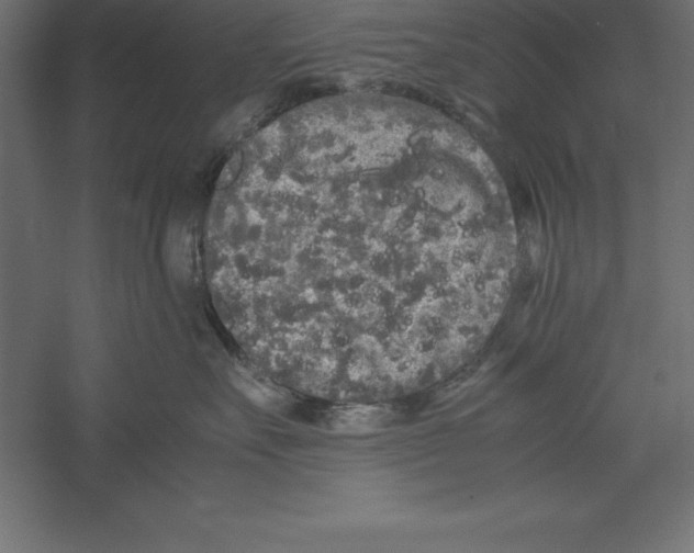 X0000060260527200511241431