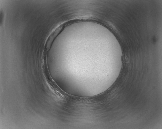 X0000060260532200511241430