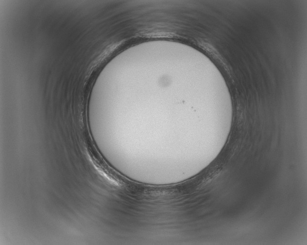 X0000060260533200511241430