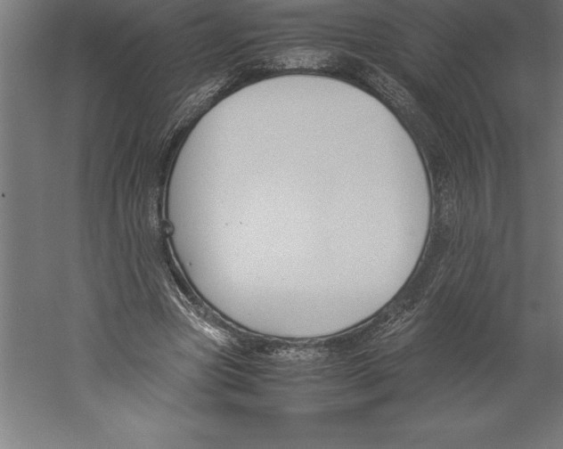 X0000060260537200511241430