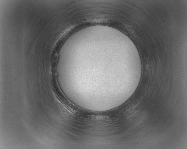 X0000060260539200511241430