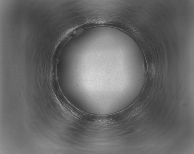 X0000060260540200511241430