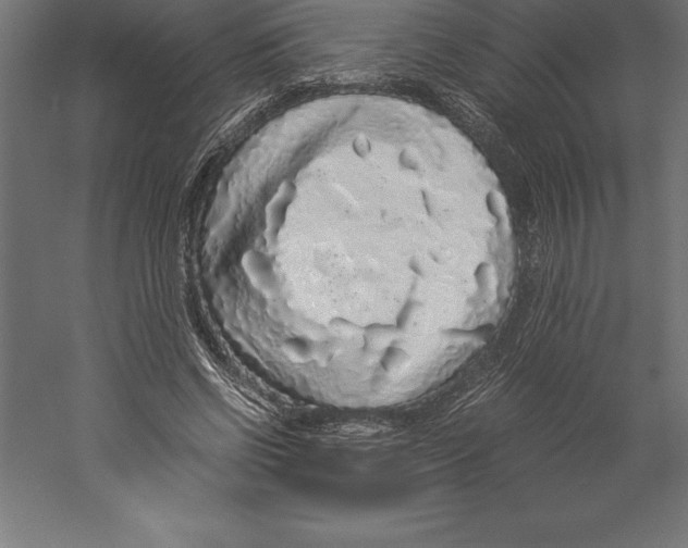 X0000060260542200511241430