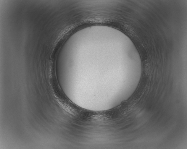 X0000060260544200511241430