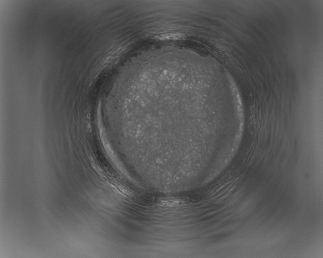 X0000060260547200511241430