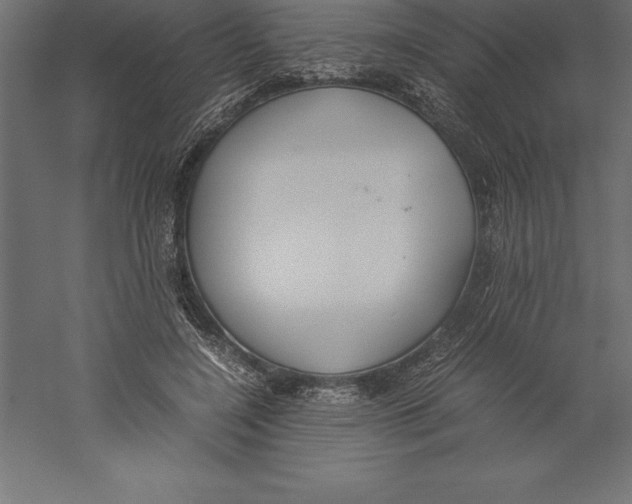 X0000060260548200511241430