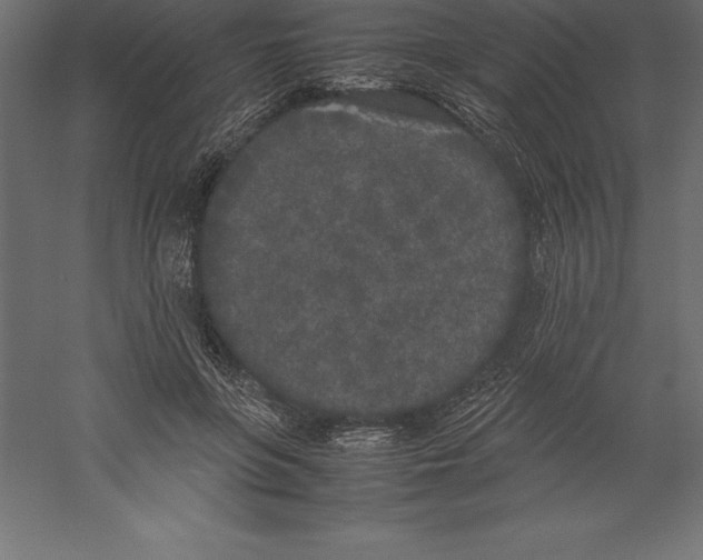 X0000060260551200511241430