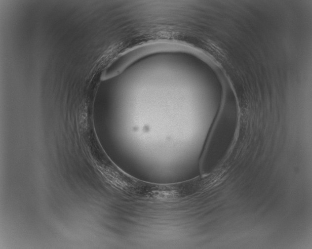 X0000060260552200511241430