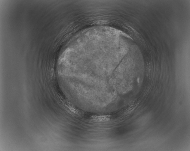 X0000060260553200511241430