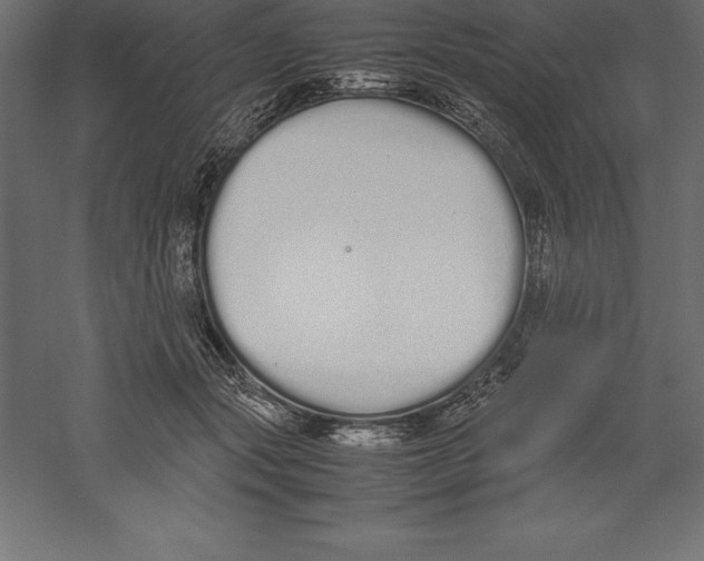 X0000060260557200511241430