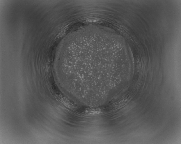 X0000060260559200511241430