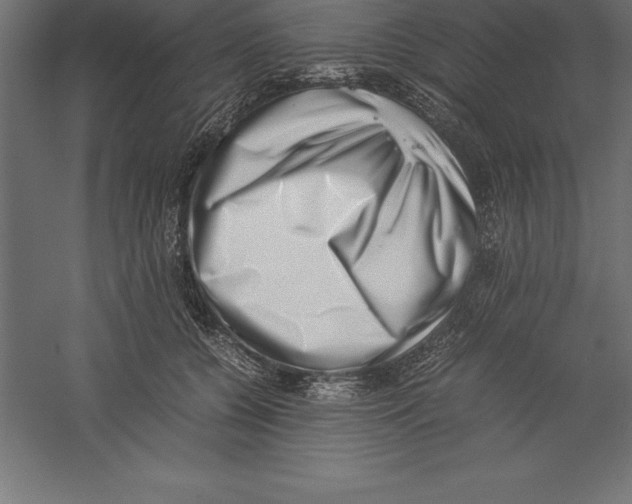 X0000060260560200511241430