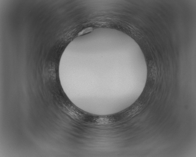 X0000060260562200511241430