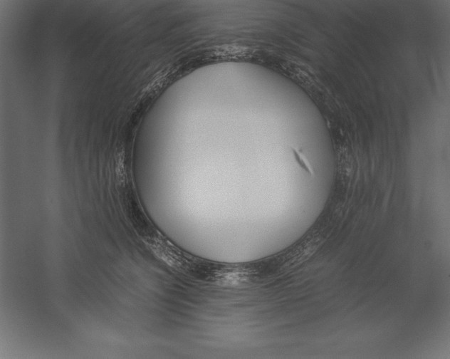 X0000060260564200511241430