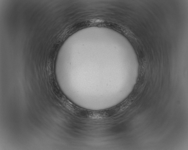 X0000060260565200511241430