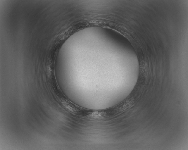 X0000060260566200511241430