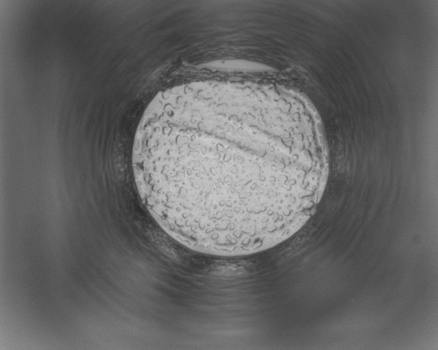 X0000060260569200511241430