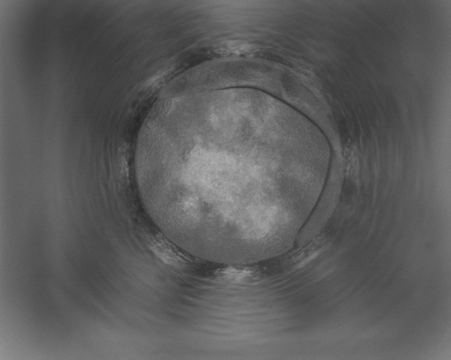 X0000060260570200511241431