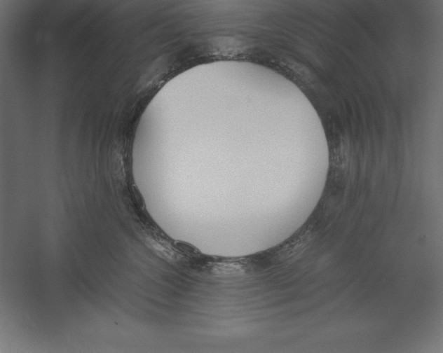 X0000060260572200511241431