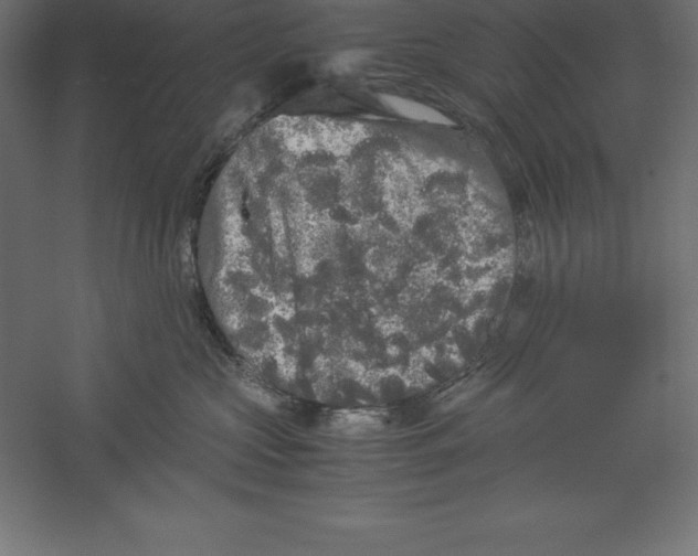 X0000060260573200511241431