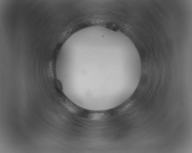 X0000060260575200511241431