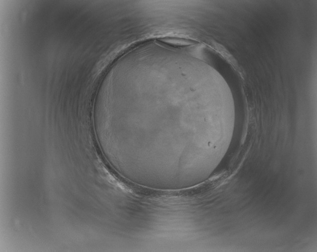 X0000060260577200511241430