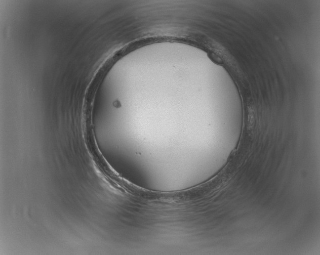 X0000060260580200511241430