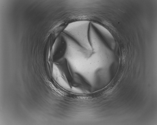 X0000060260585200511241430