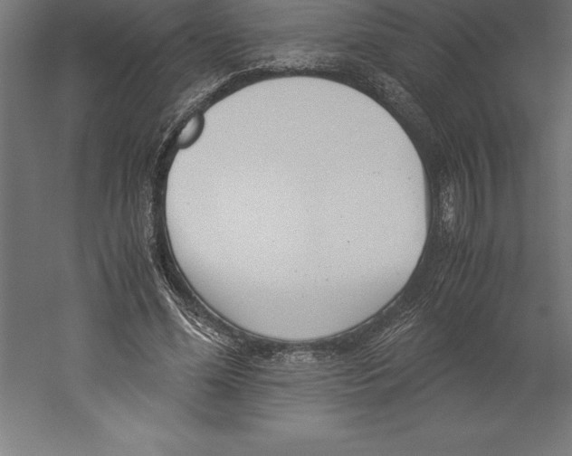 X0000060260588200511241430