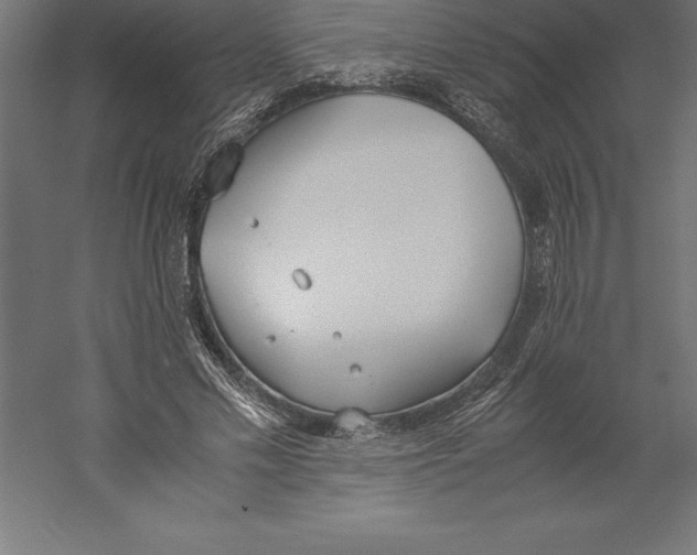 X0000060260589200511241430