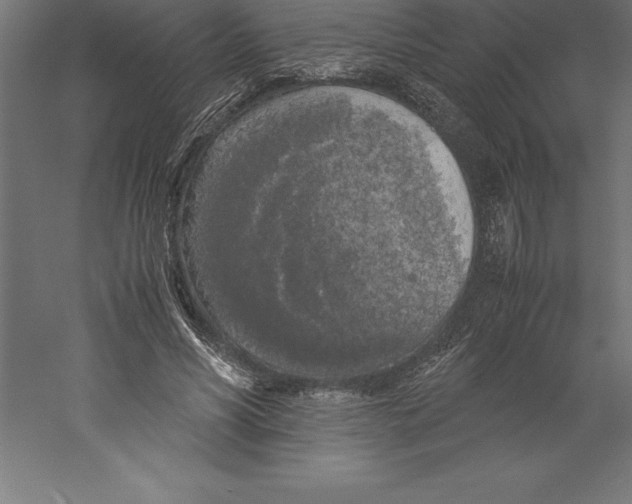 X0000060260590200511241430