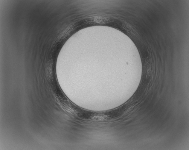 X0000060260595200511241429