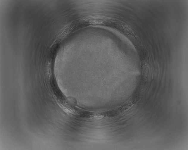 X0000060260598200511241429