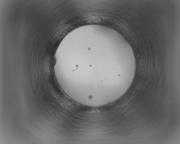 X0000060260600200511241429