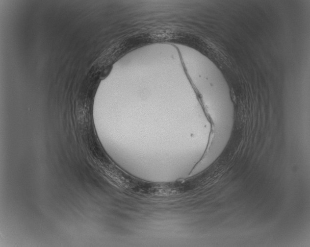 X0000060260601200511241429