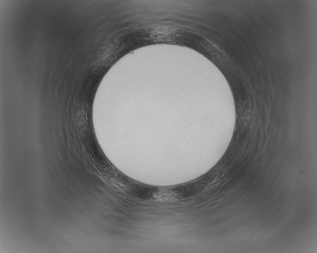 X0000060260603200511241429