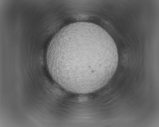 X0000060260604200511241429