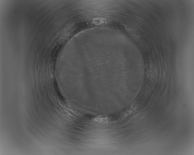 X0000060260606200511241429