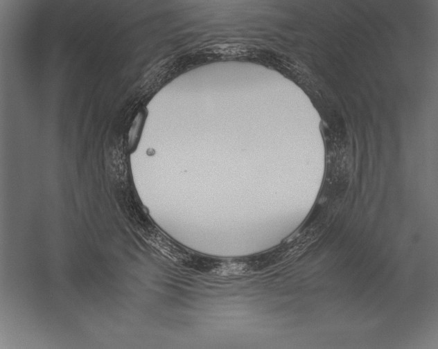 X0000060260609200511241429