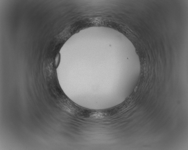 X0000060260611200511241429