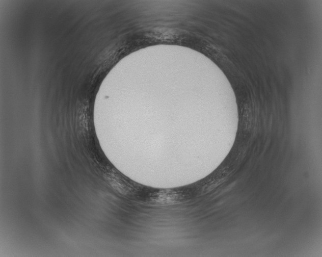 X0000060260612200511241429