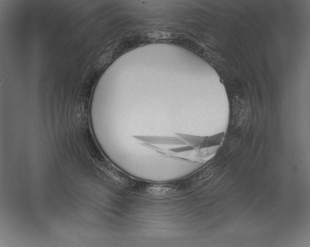 X0000060260614200511241429