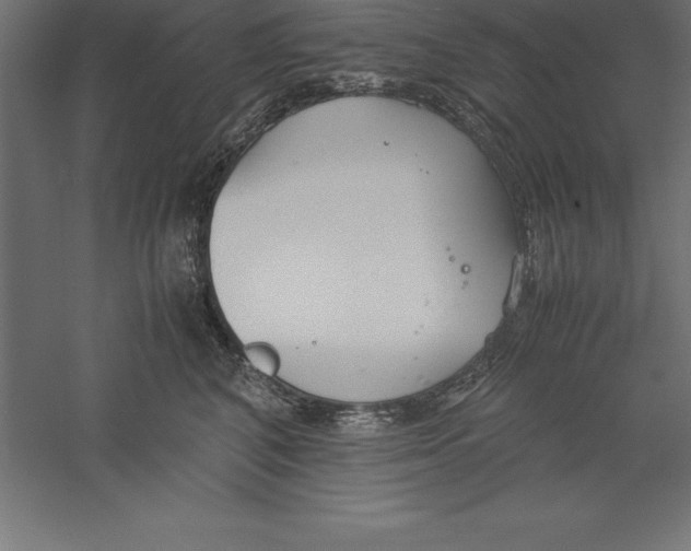 X0000060260616200511241429