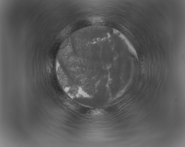 X0000060260618200511241429