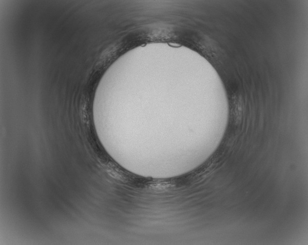 X0000060260619200511241429