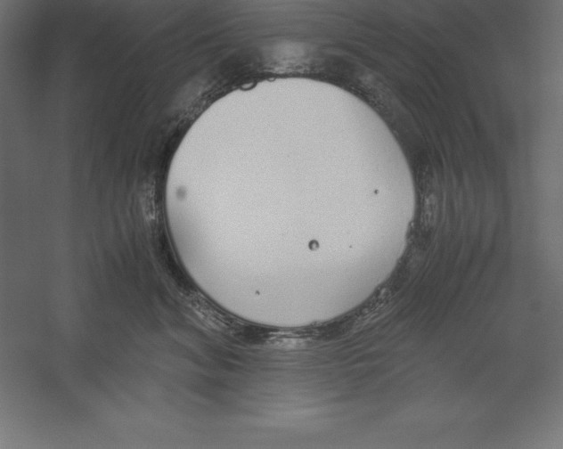 X0000060260620200511241429