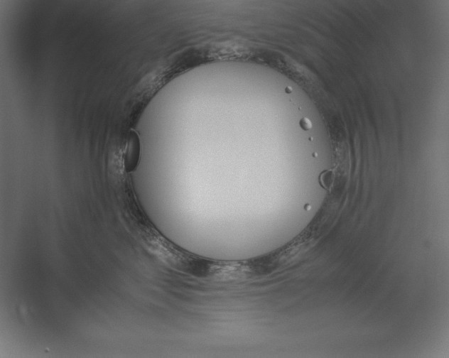 X0000060260621200511241429